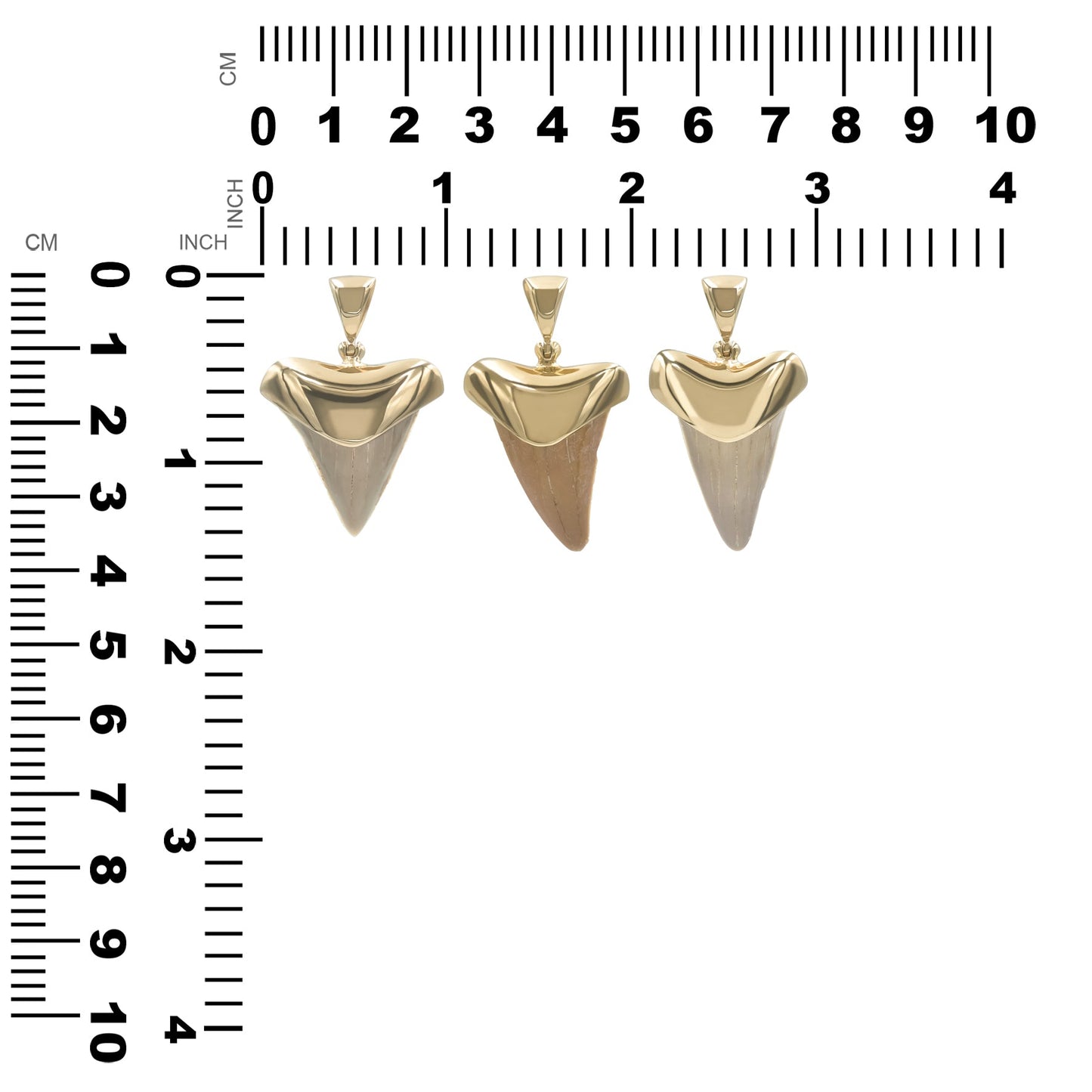 Starborn Creations 18k Gold Plated Brass Light Fossil Shark Tooth Pendant