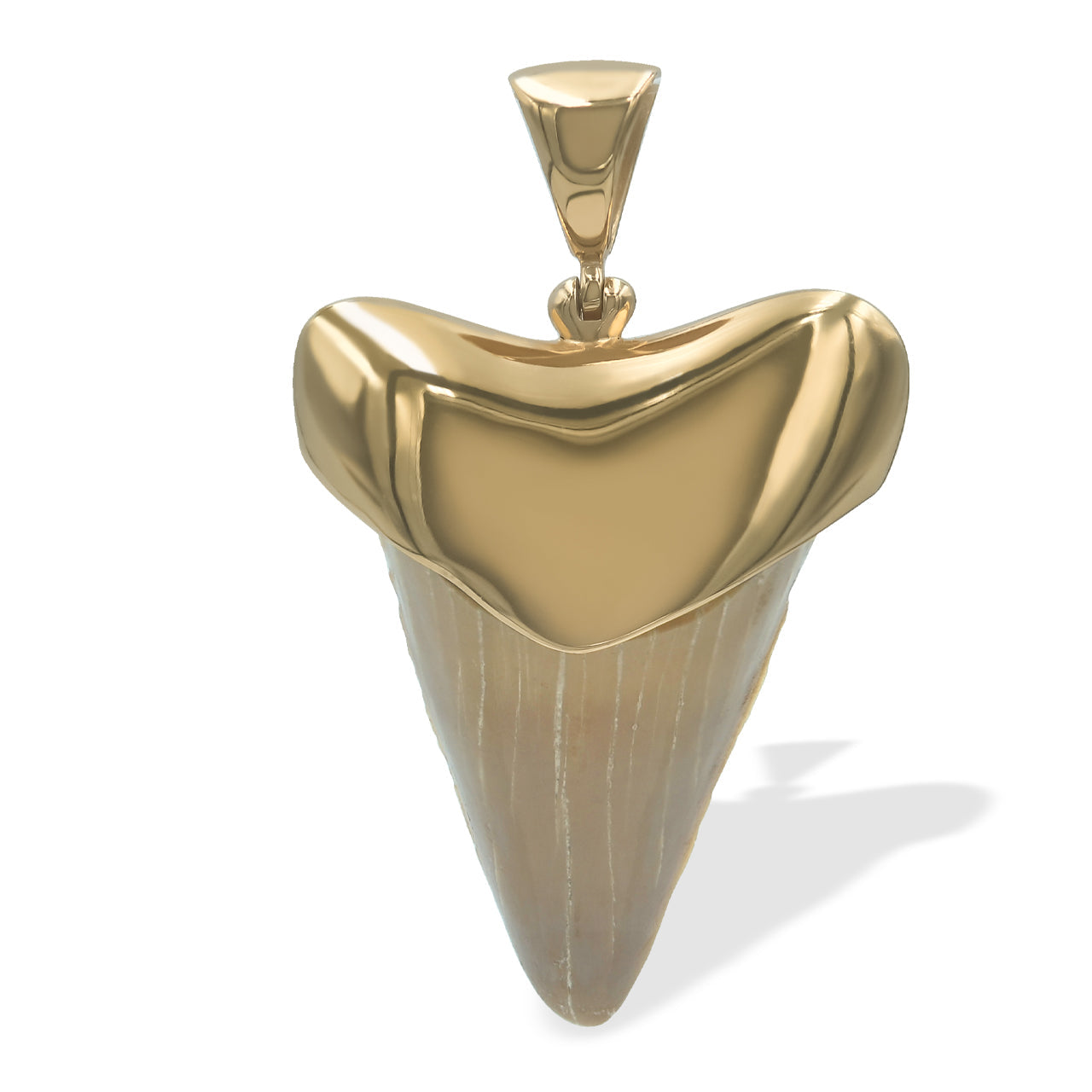 Starborn Creations 18k Gold Plated Brass Light Fossil Shark Tooth Pendant