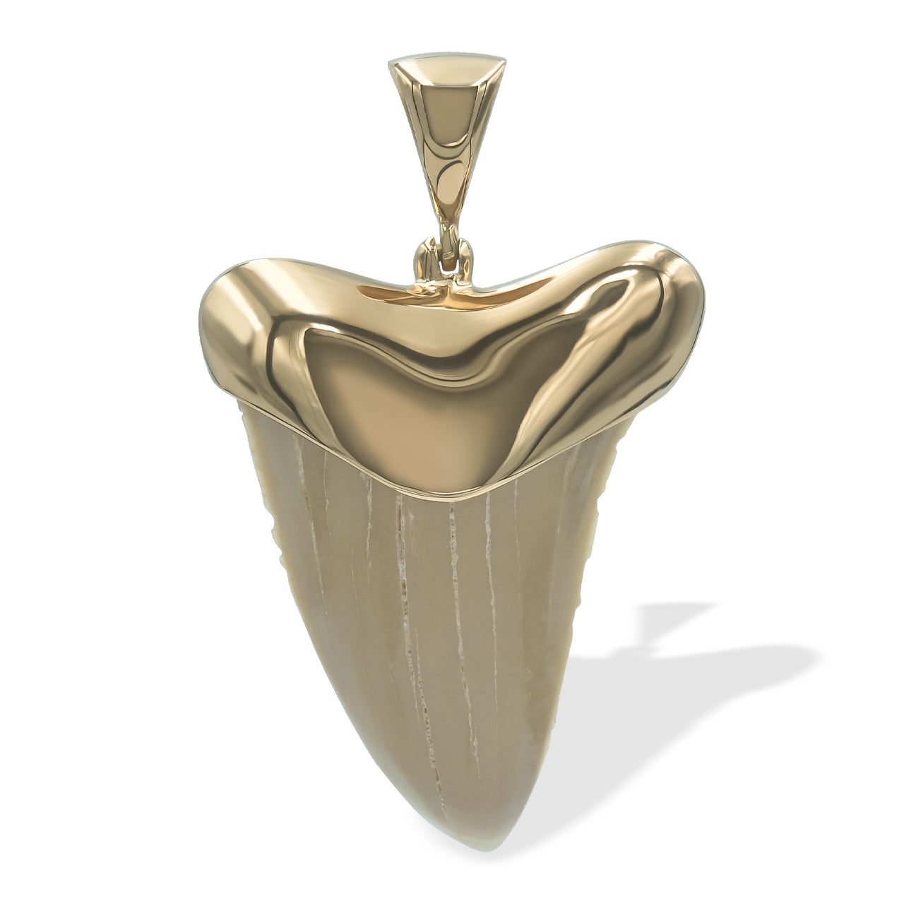 Starborn Creations 18k Gold Plated Brass Light Fossil Shark Tooth Pendant