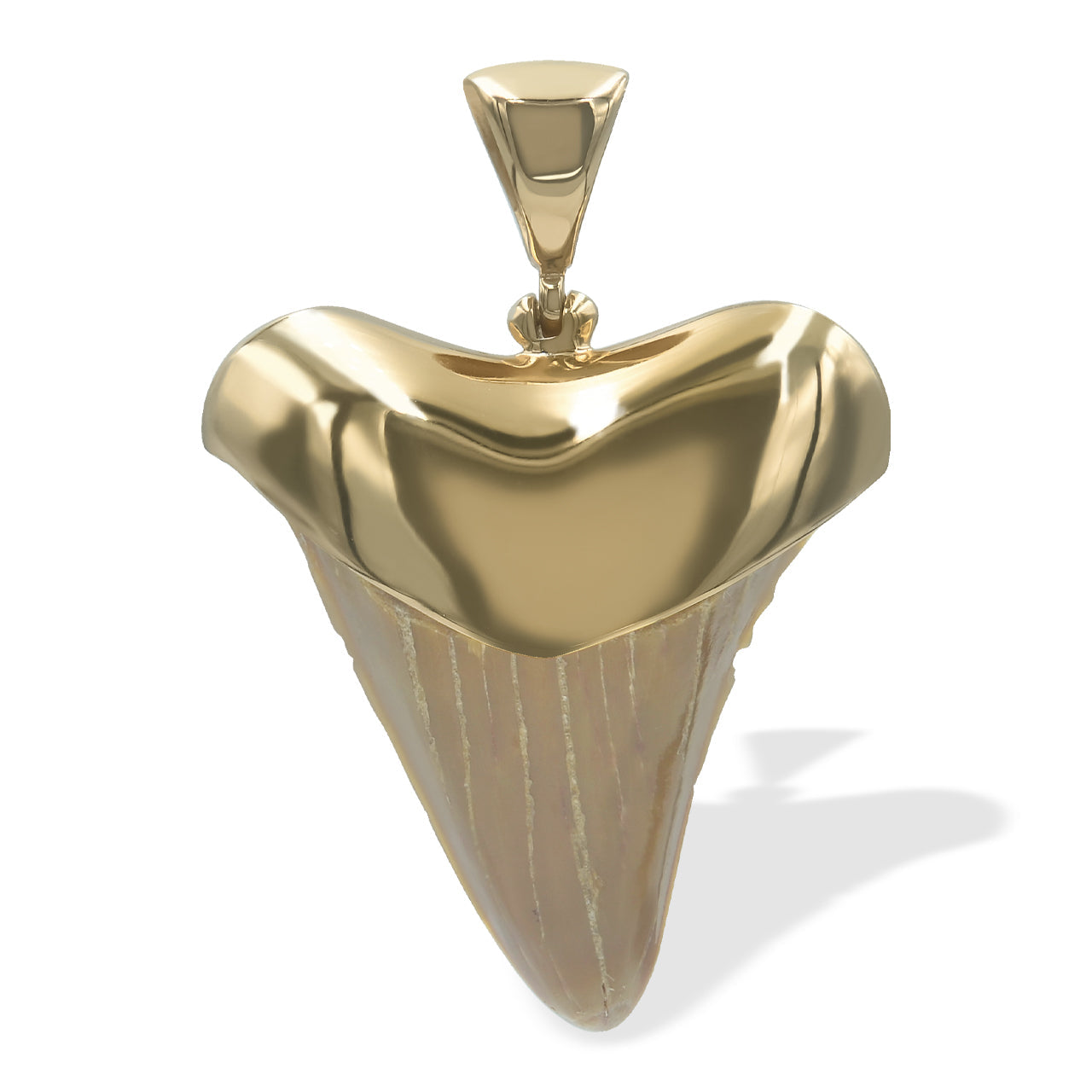 Starborn Creations 18k Gold Plated Brass Light Fossil Shark Tooth Pendant