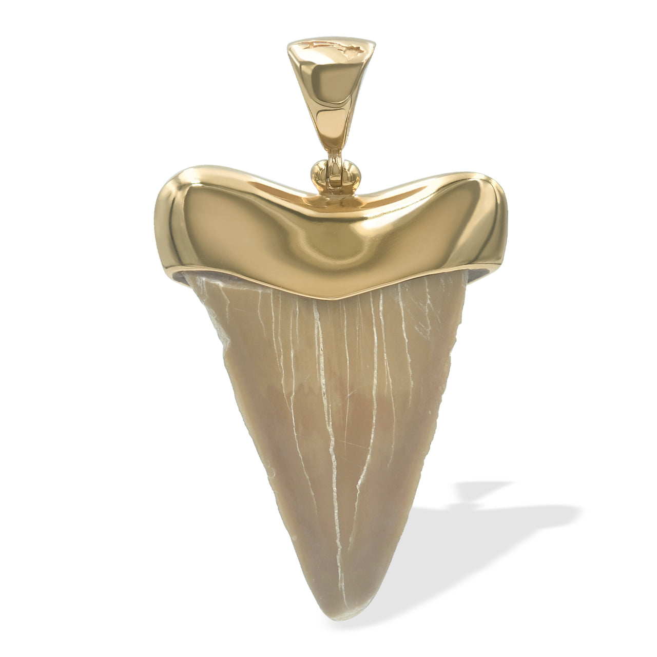 Starborn Creations 18k Gold Plated Brass Light Fossil Shark Tooth Pendant