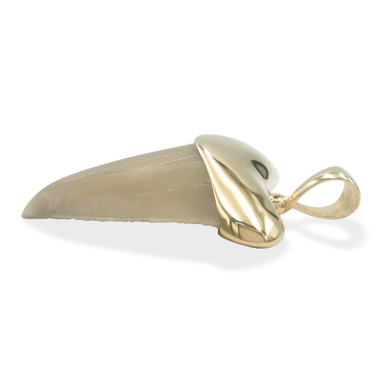 Starborn Creations 18k Gold Plated Brass Light Fossil Shark Tooth Pendant