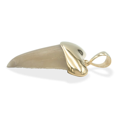 Starborn Creations 18k Gold Plated Brass Light Fossil Shark Tooth Pendant