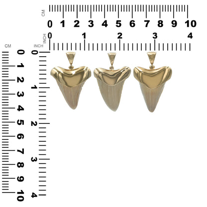 Starborn Creations 18k Gold Plated Brass Light Fossil Shark Tooth Pendant