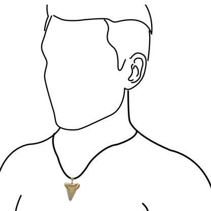 Starborn Creations 18k Gold Plated Brass Light Fossil Shark Tooth Pendant