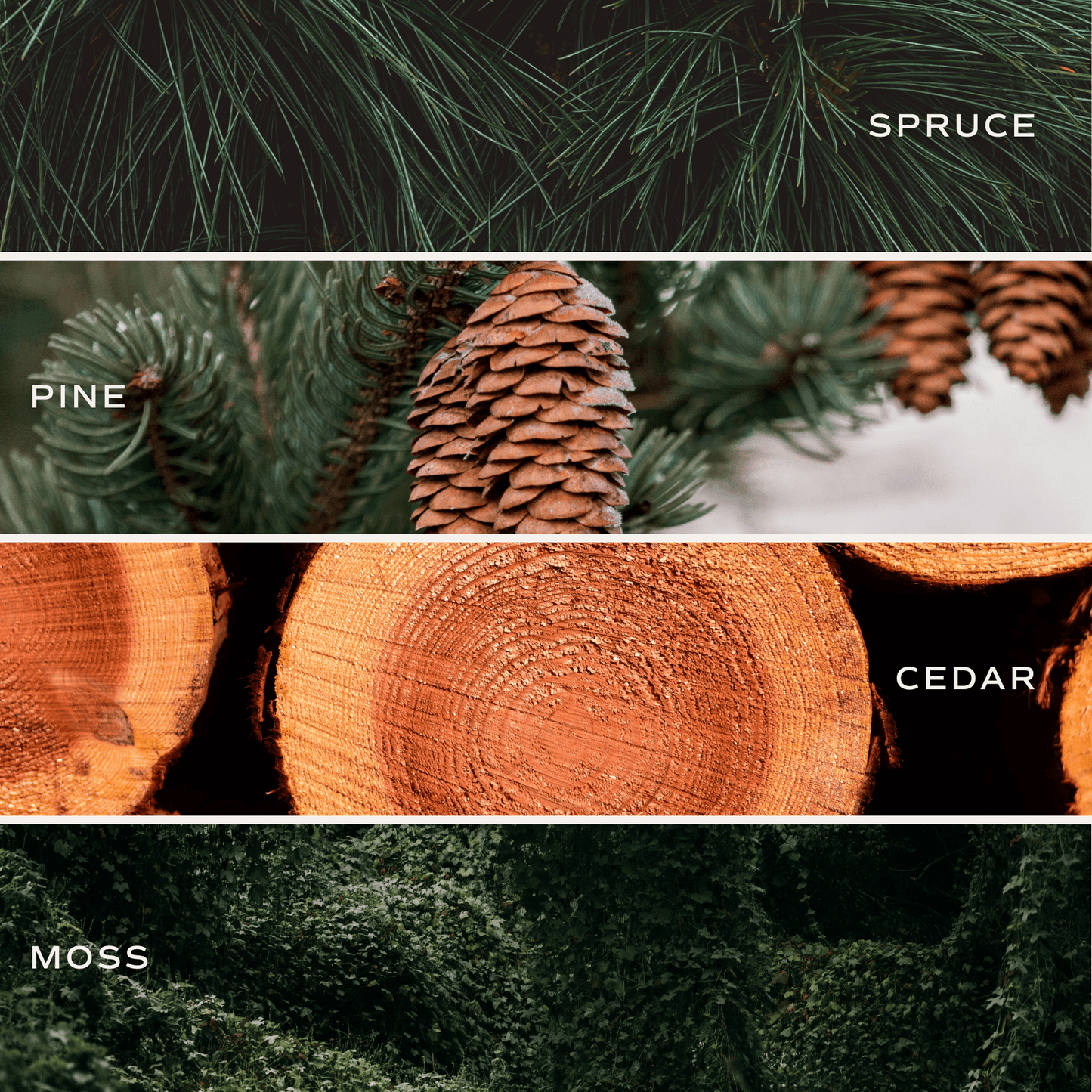 "Christmas Tree Farm" 15oz - Pine, Evergreen, Cypress, Fir