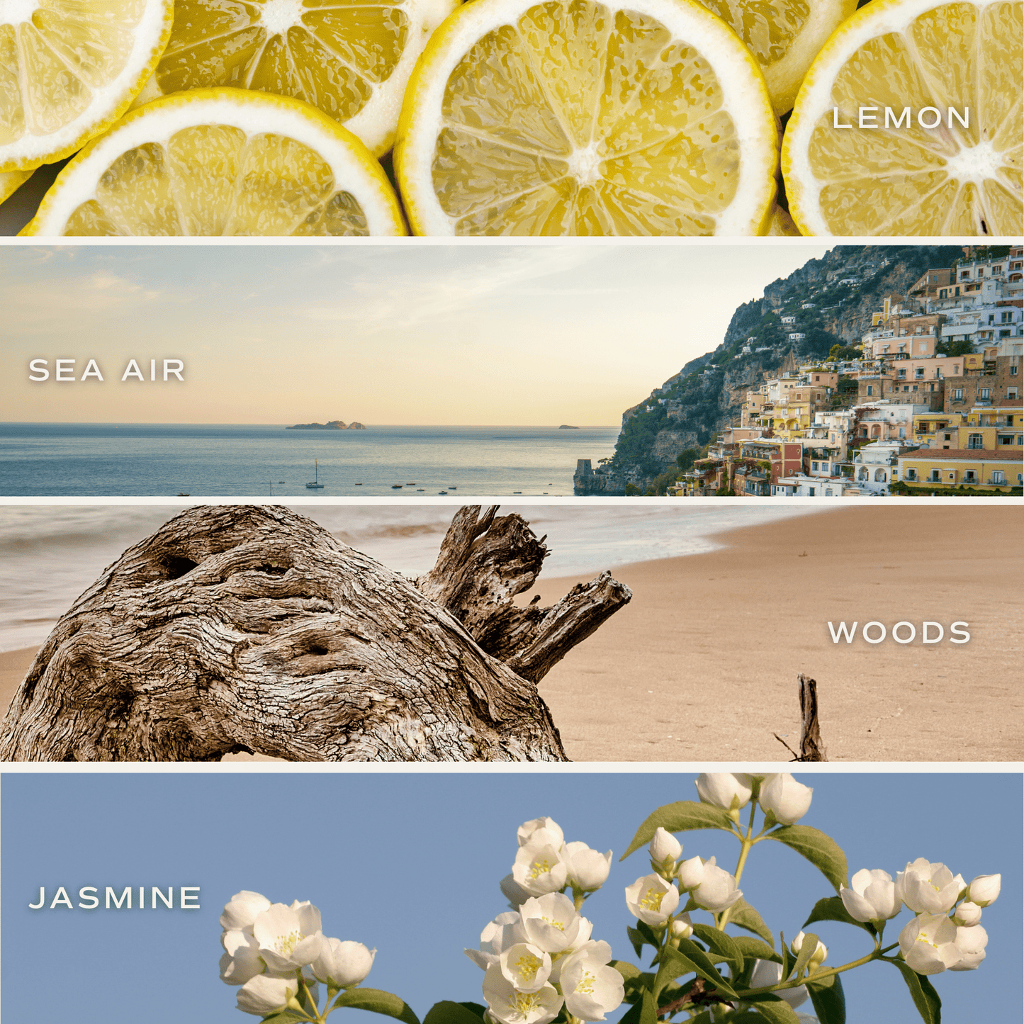 Coastal Lemon Soy Candle - 15 oz – Candles