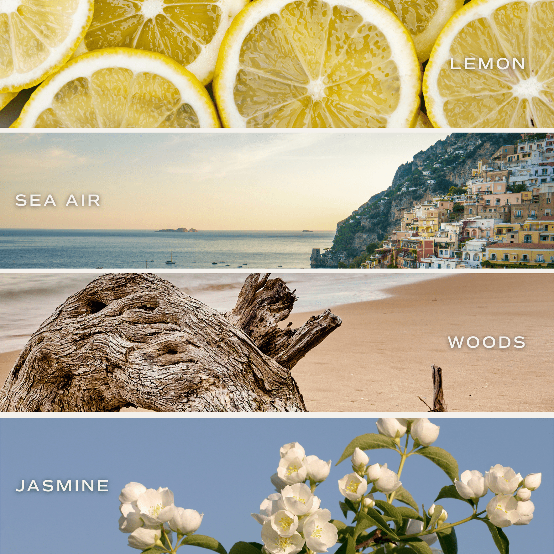 Coastal Lemon Soy Candle - 15 oz – Candles