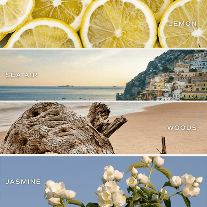 Coastal Lemon Soy Candle - 15 oz – Candles