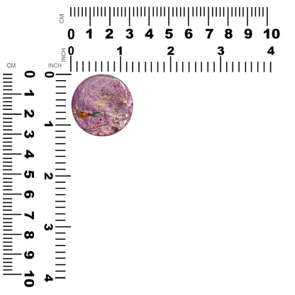 Starborn Purpurite One-of-a-Kind Round Cabochon (32mm) - 1 Piece – RP - Regular Price