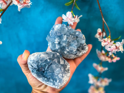 CELESTITE Clusters 450-800 Grams – 450-499 gram cluster
