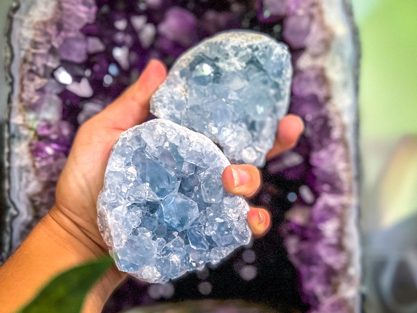 CELESTITE Clusters 450-800 Grams – 500-549 gram cluster