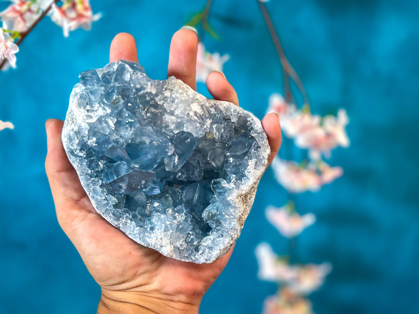 CELESTITE Clusters 450-800 Grams – 700-749 gram cluster