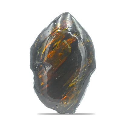 Starborn Polished Lion's Mane Sumatra Amber Collector (130g-150g) - 1 Piece – RP - Regular Price