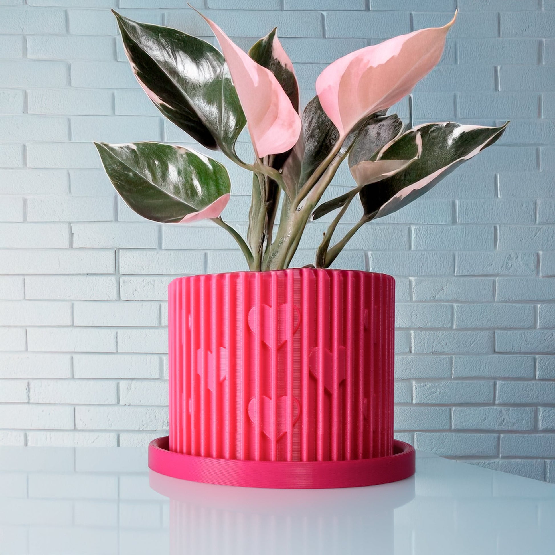 Modern Heart-Shaped Planter with Drainage & Saucer – Unique Valentine’s Day Gift for Plant Lovers, 3d Printed Planter Home Hosting Decor, – Planter