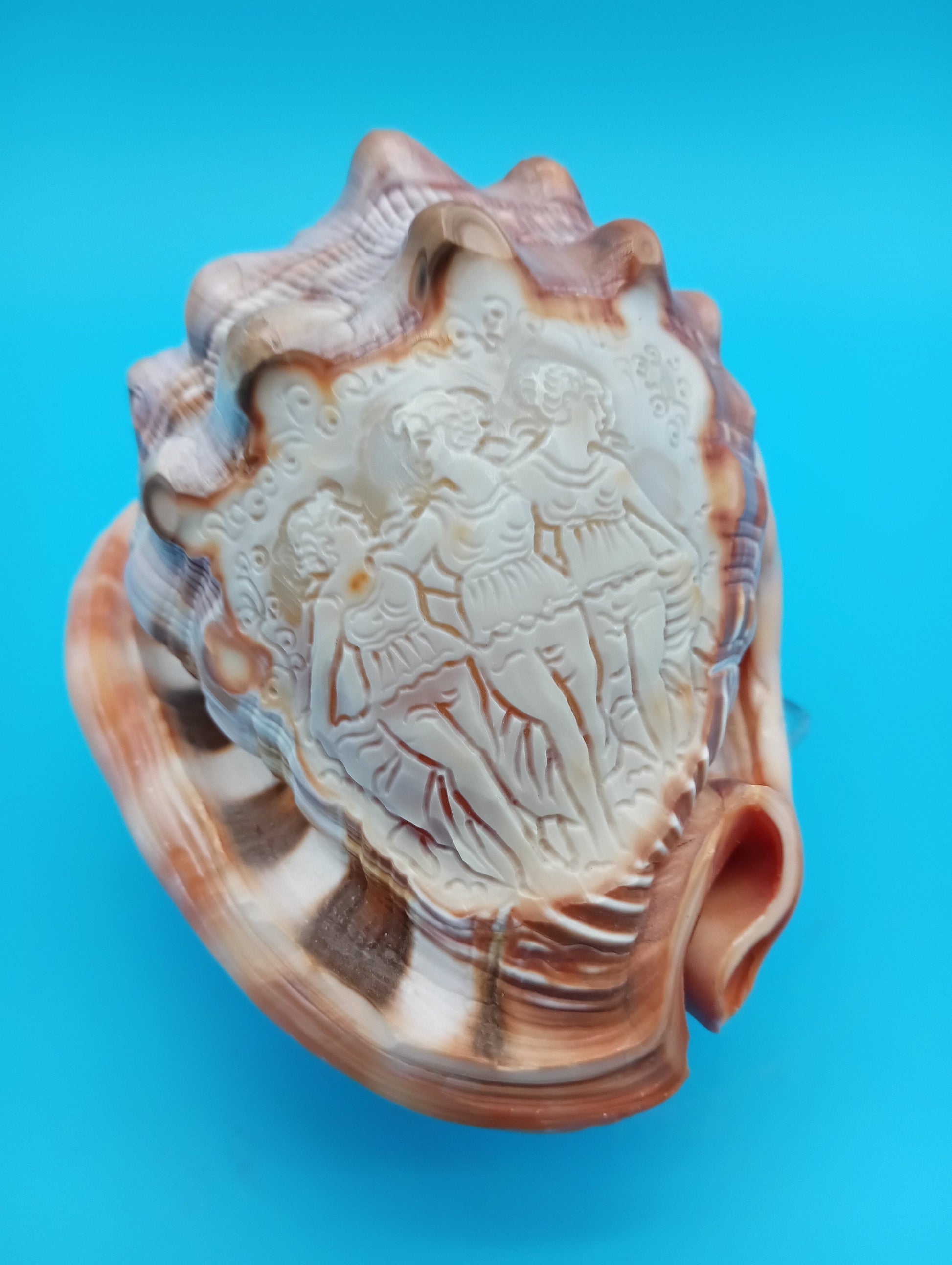 Signed Carved Cameo Three Grace Graces Shell 4.4" - Cassis Cornuta – Display Shell