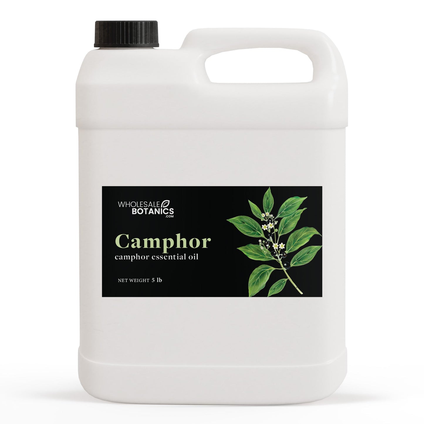 Camphor Essential Oil – 5 lbs Essential_Oil