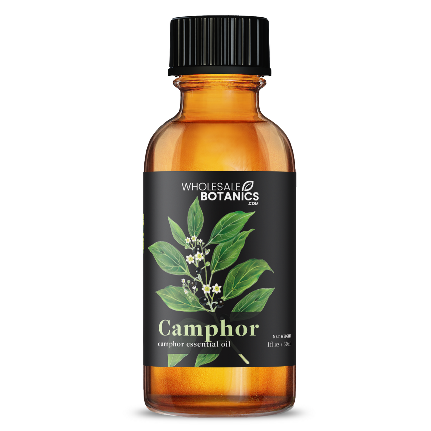 Camphor Essential Oil – 1 oz Essential_Oil