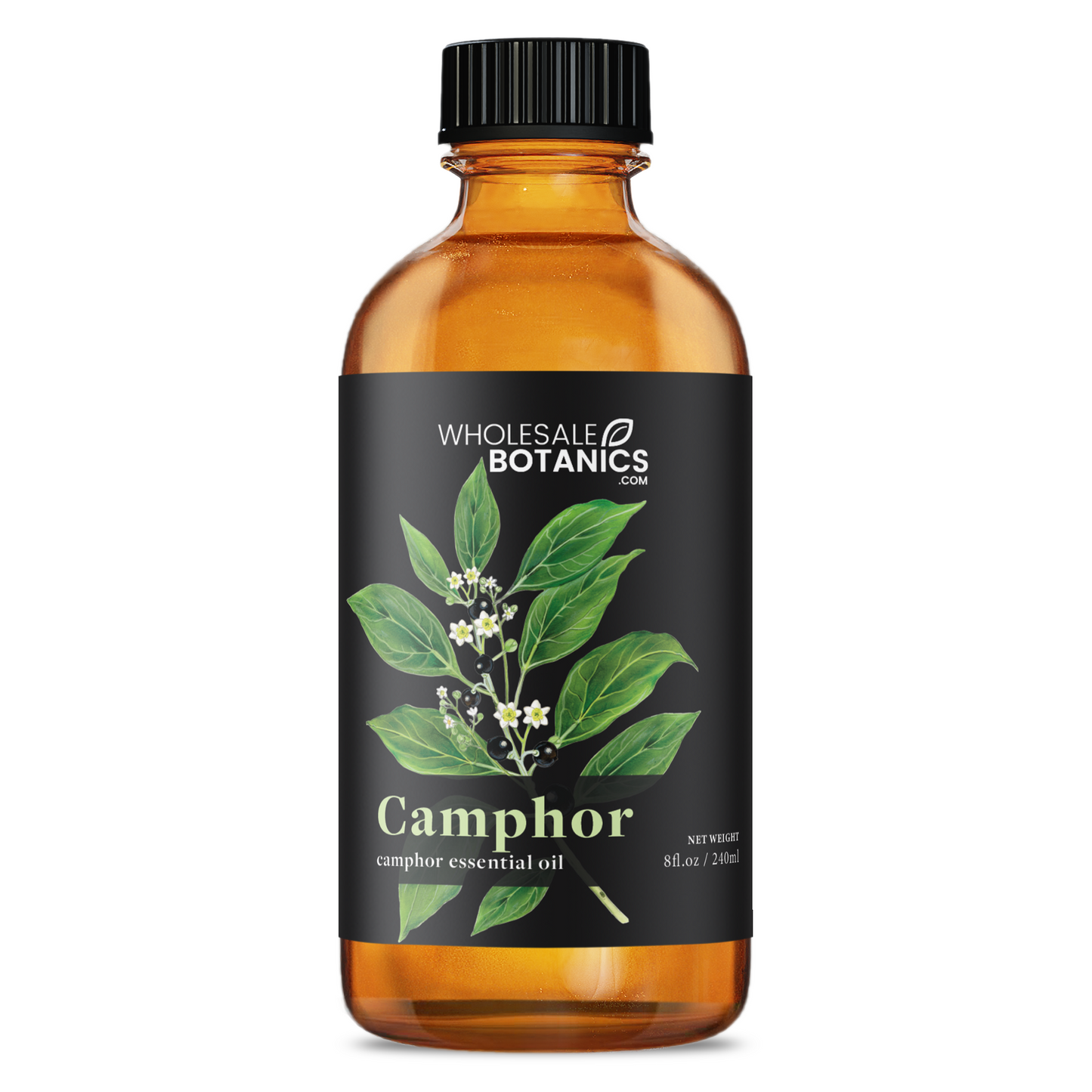Camphor Essential Oil – 8 oz Essential_Oil