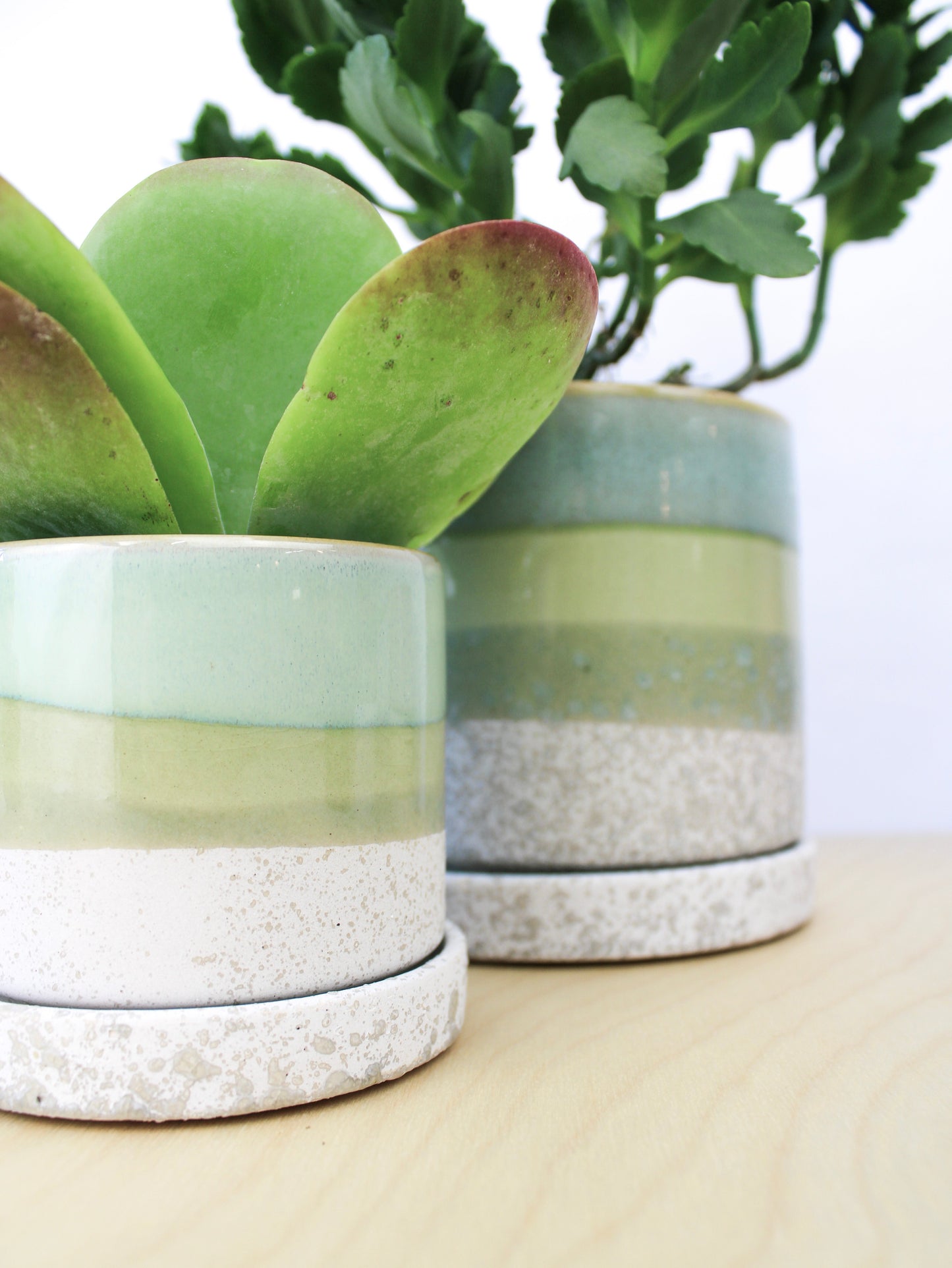 Cement Green Ceramic Plant Pot and Saucer – plant pot