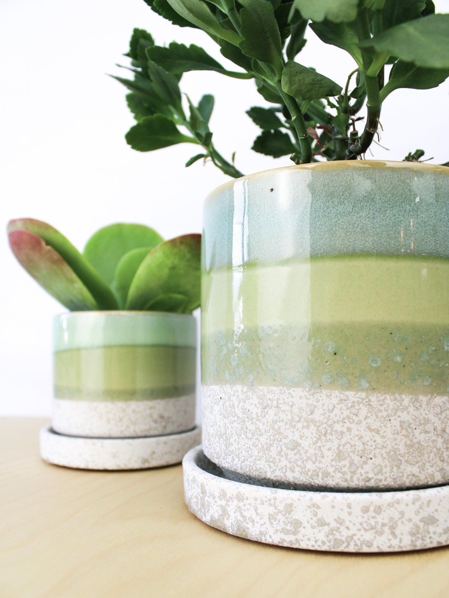 Cement Green Ceramic Plant Pot and Saucer – plant pot