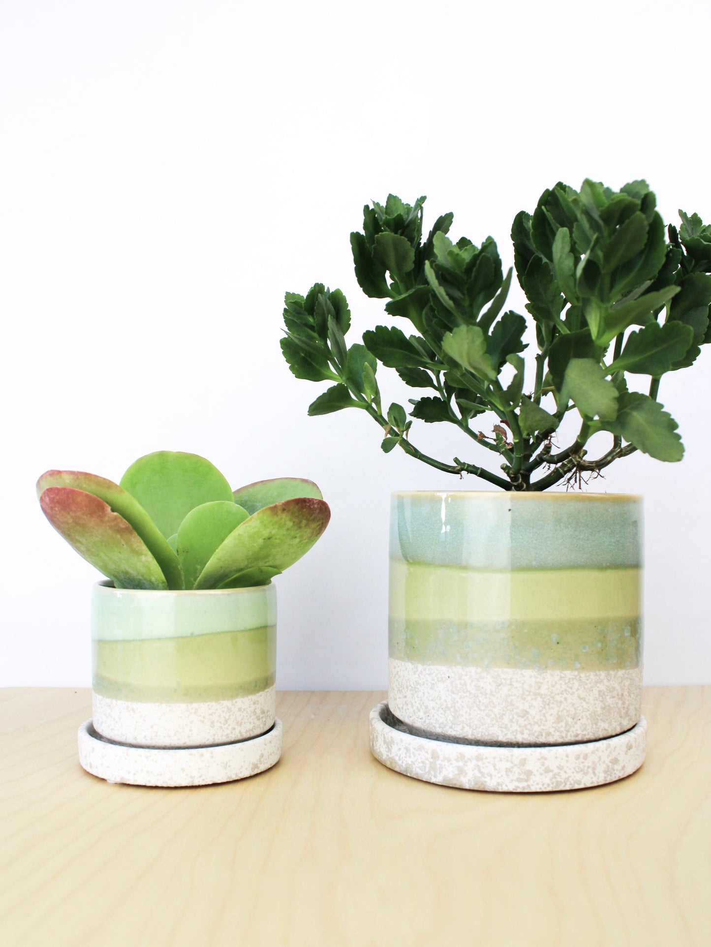 Cement Green Ceramic Plant Pot and Saucer – plant pot