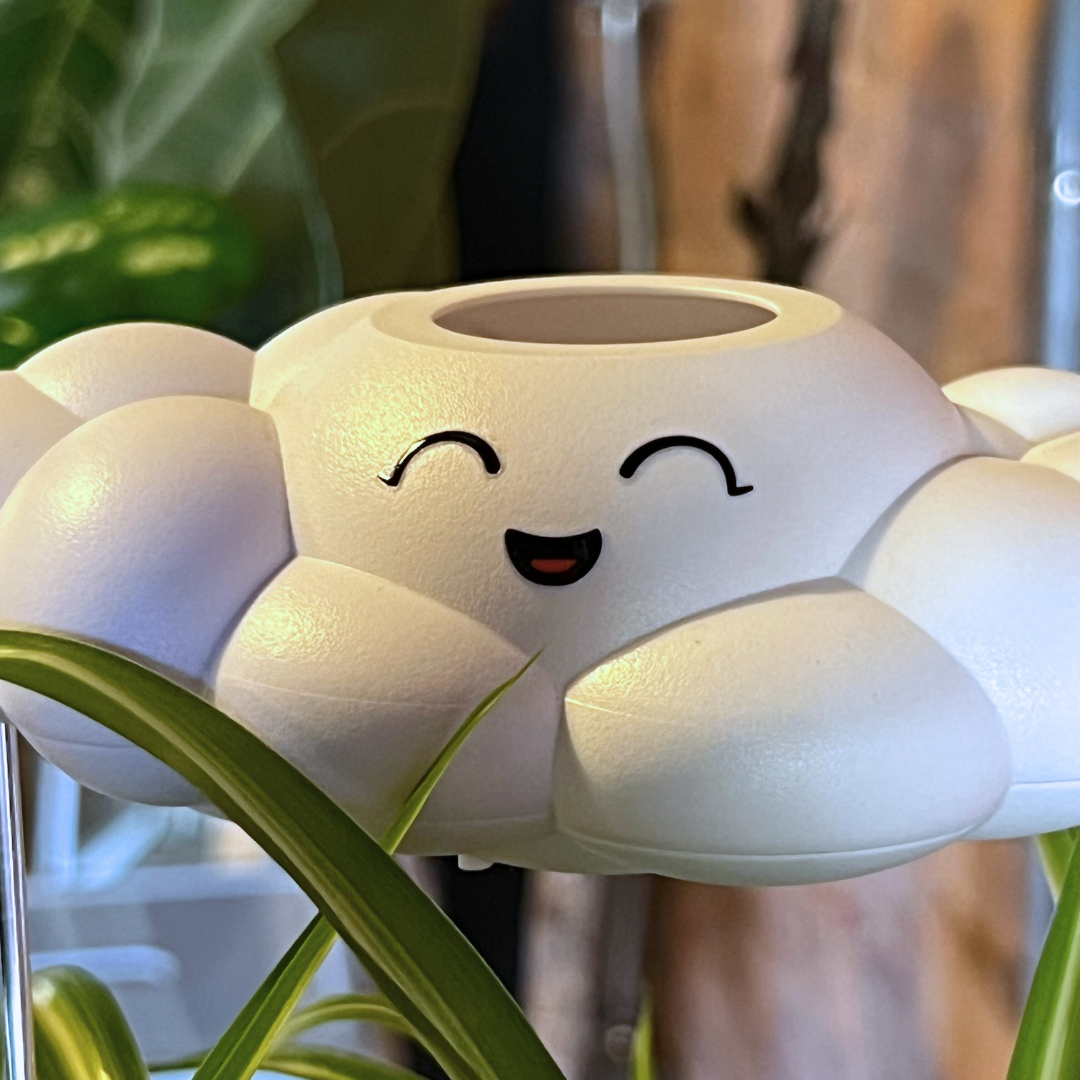 Chelsea Cloud Plant Waterer - Rain Cloud Planter – House Plant Accessory