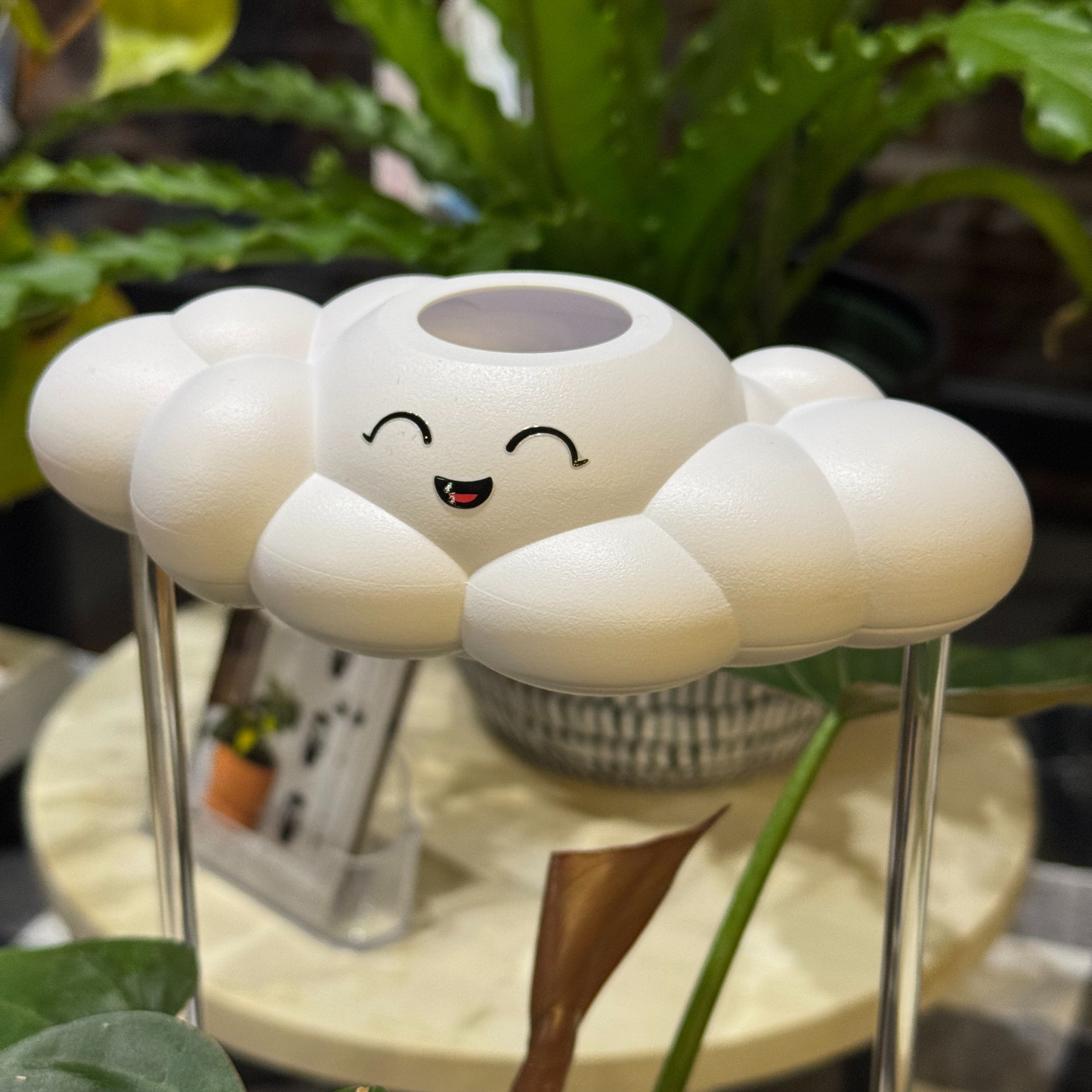 Chelsea Cloud Plant Waterer - Rain Cloud Planter – House Plant Accessory