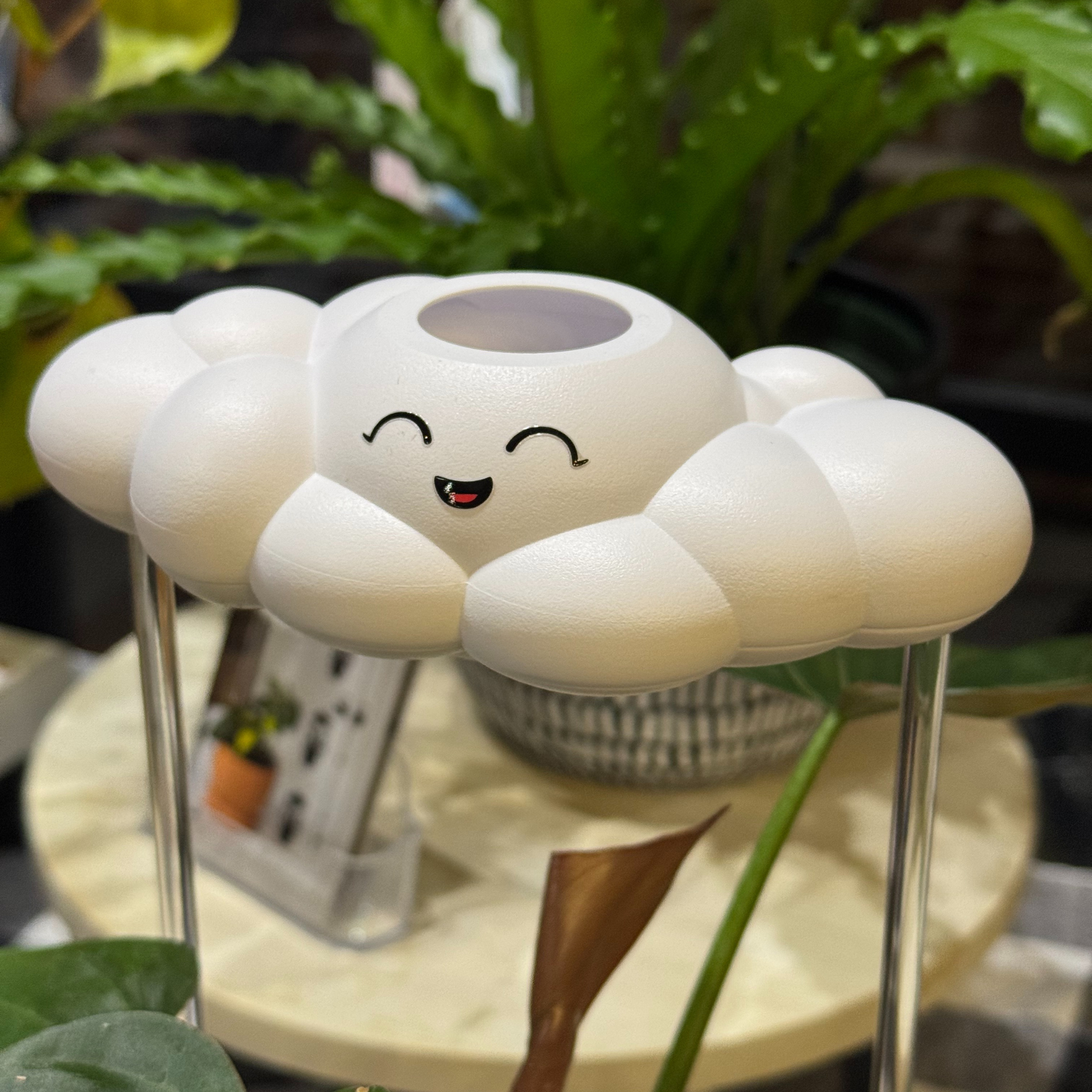 Chelsea Cloud Plant Waterer - Rain Cloud Planter – House Plant Accessory