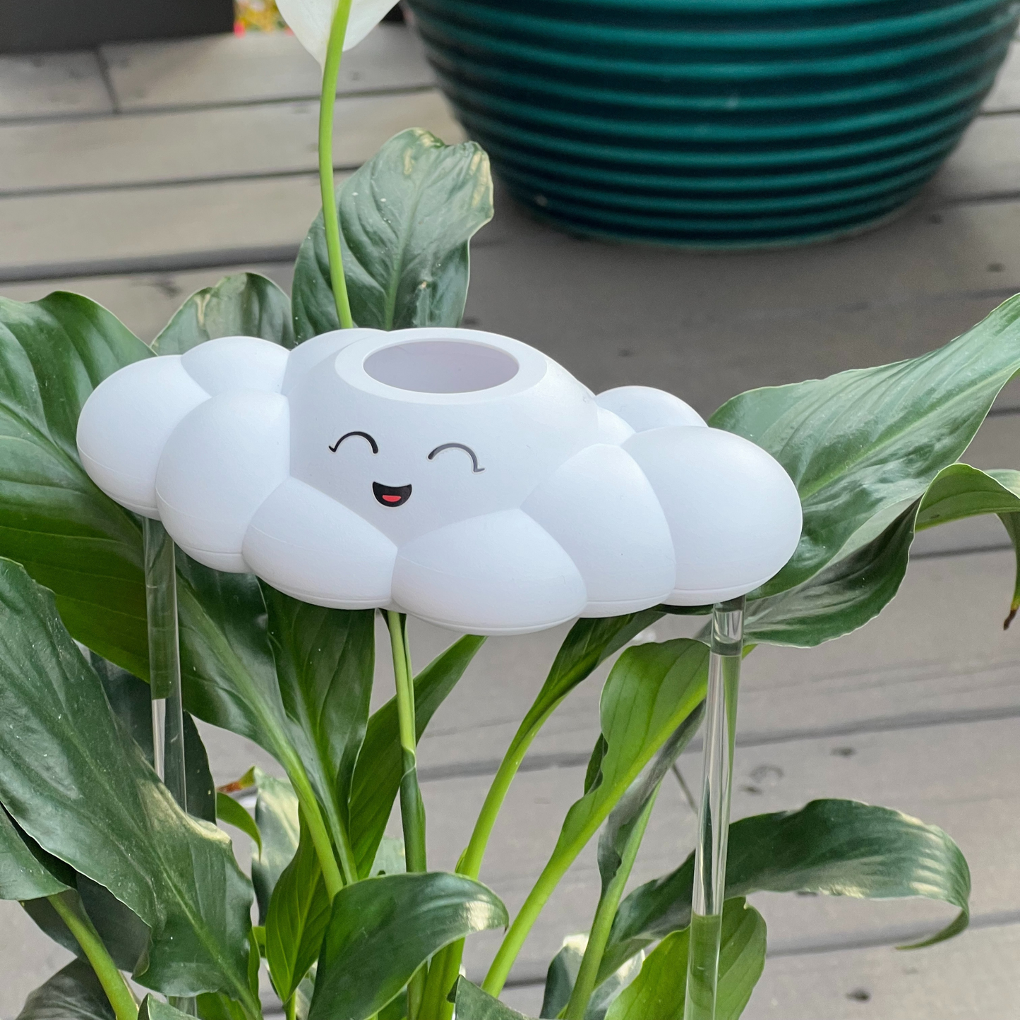 Chelsea Cloud Plant Waterer - Rain Cloud Planter – House Plant Accessory