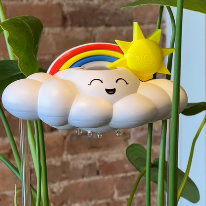 Chelsea Cloud Plant Waterer - Rain Cloud Planter – House Plant Accessory
