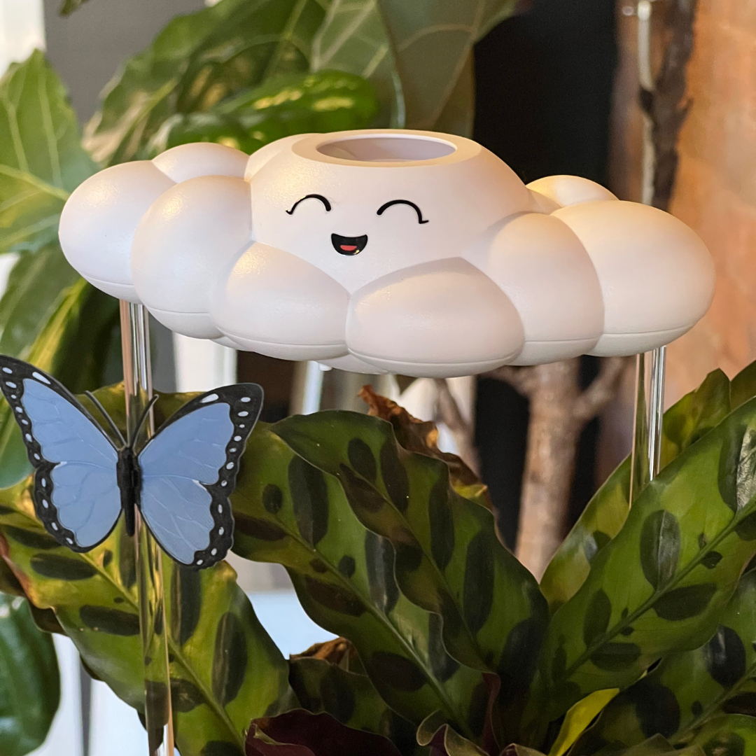 Chelsea Cloud Plant Waterer - Rain Cloud Planter – House Plant Accessory