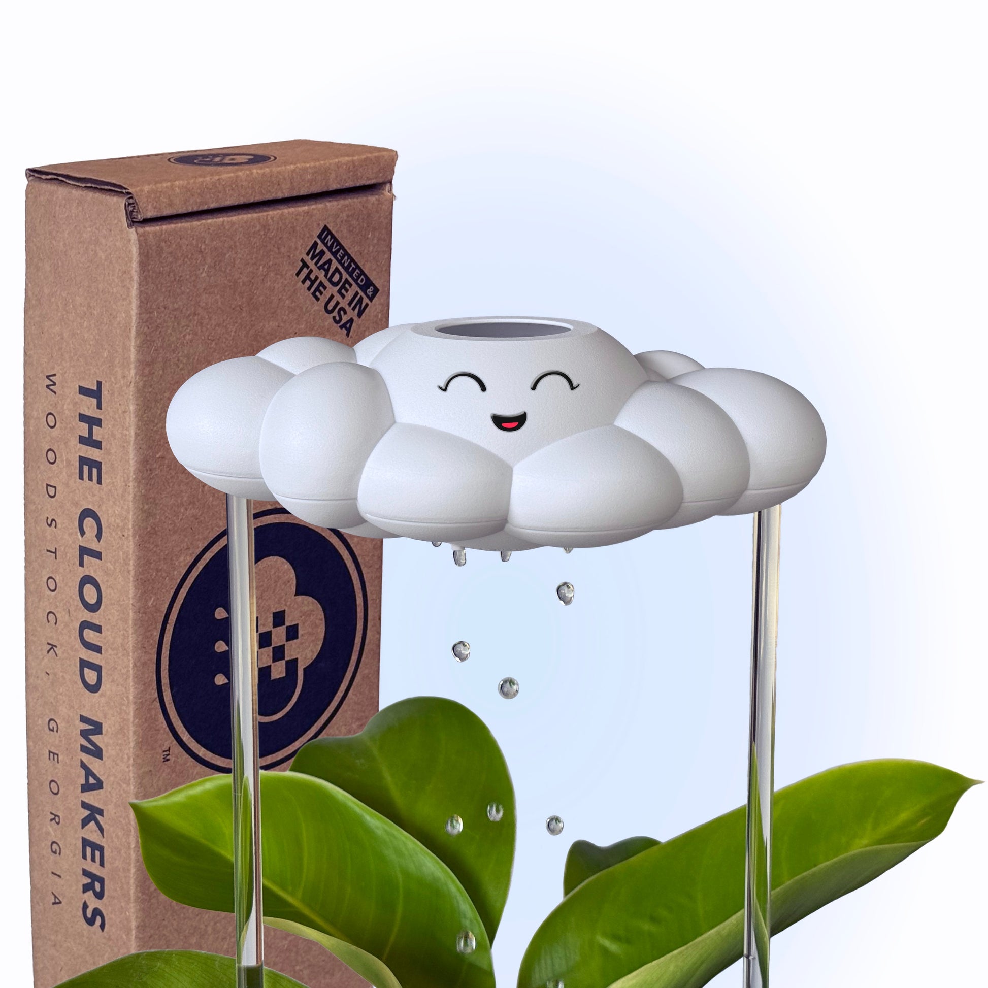 Chelsea Cloud Plant Waterer - Rain Cloud Planter – House Plant Accessory