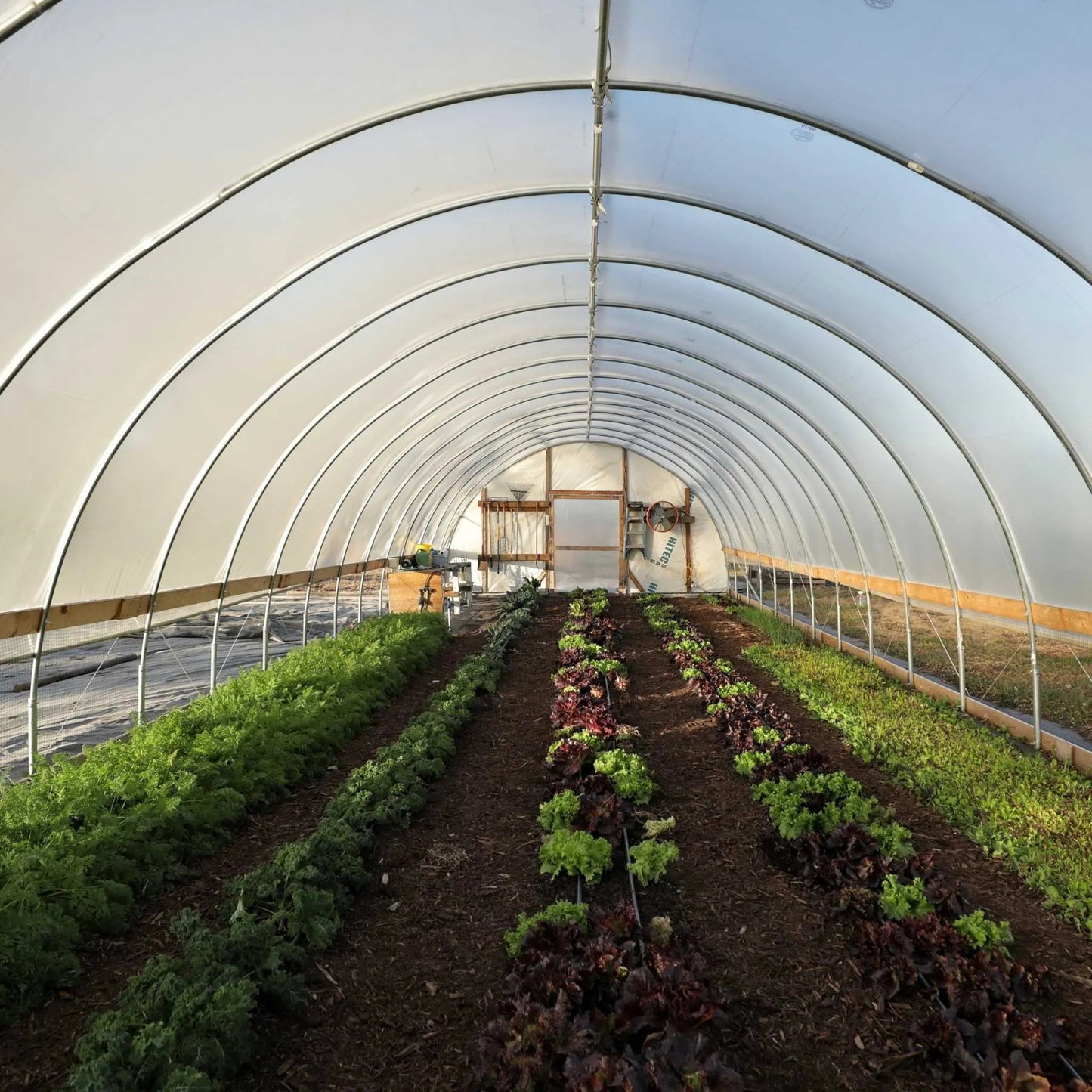 DIY Greenhouse Kit - 16 ft Wide Hoop House –