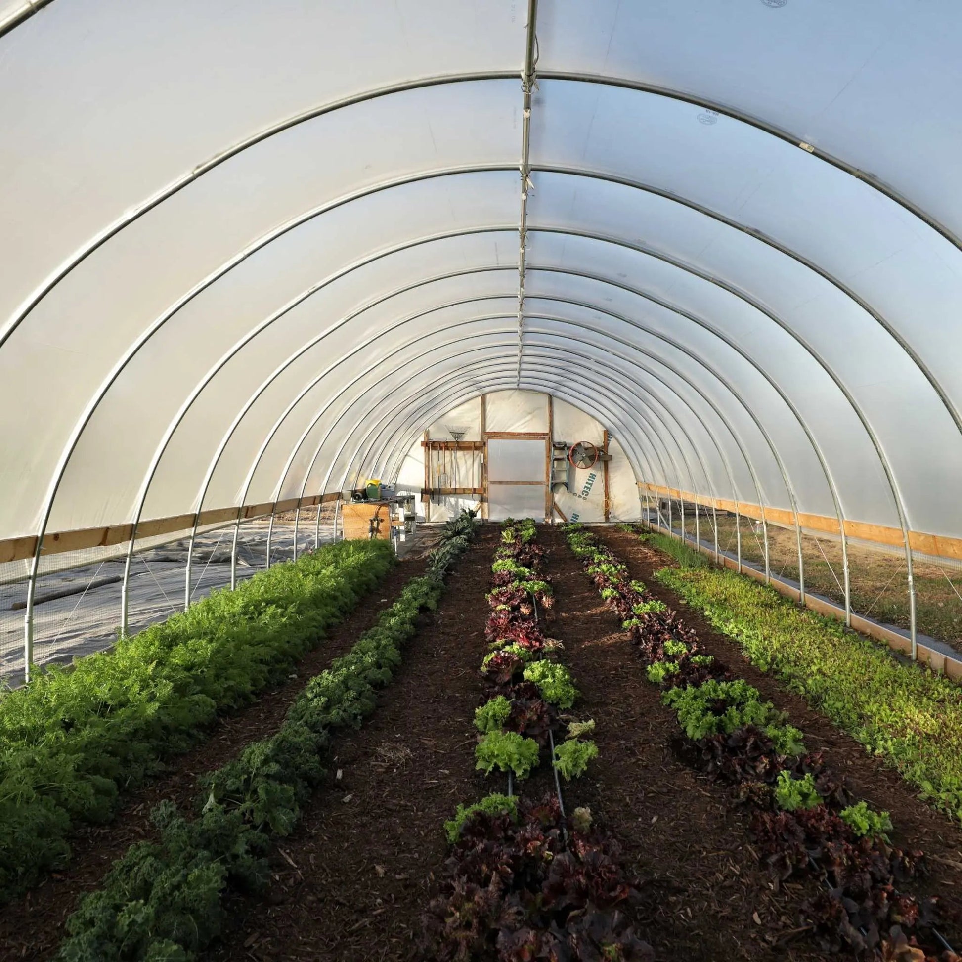 DIY Greenhouse Kit - 16 ft Wide Hoop House –