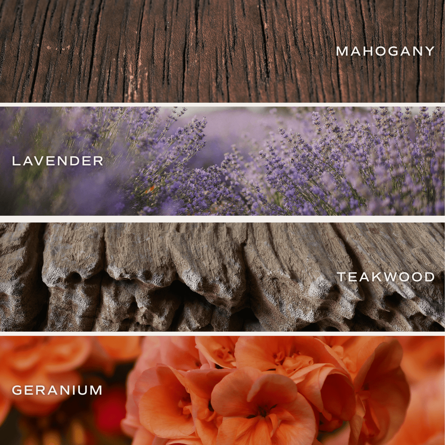 Love You Soy Candle - Red Matte Jar - 15 oz (Driftwood and Mahogany)