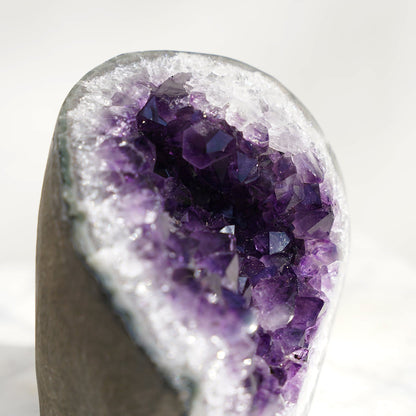 Crown Radial Amethyst Geode – Amethysts Crystals Rare Minerals