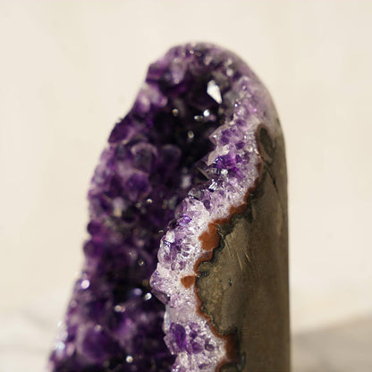 Uruguayan Amethyst Cut-Base Geode – Amethysts