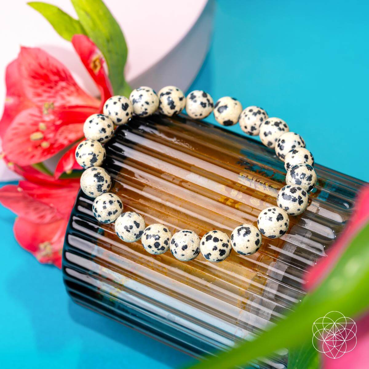 Dalmatian Jasper Bracelet – Bracelet