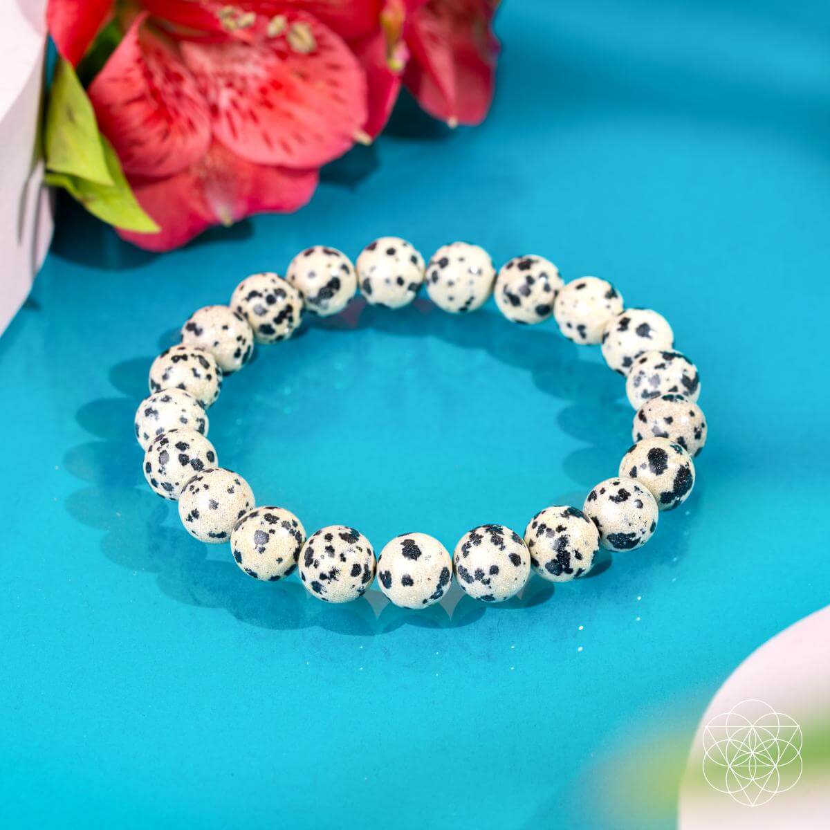 Dalmatian Jasper Bracelet – Bracelet