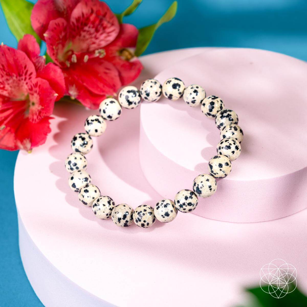 Dalmatian Jasper Bracelet – Bracelet