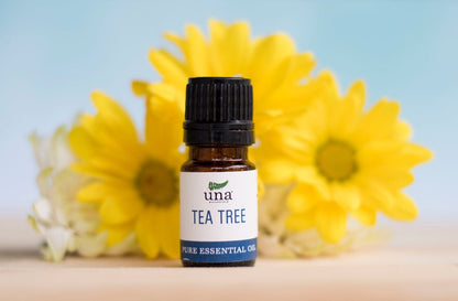 Tea Tree Essential Oil| Pure Essential Oil| Una Biologicals – Essential Oil