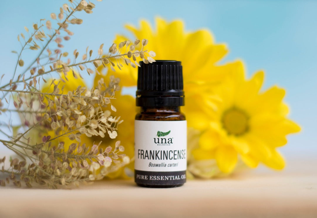 Frankincense Essential Oil | Pure Essential Oil | Una Biologicals – Essential Oil