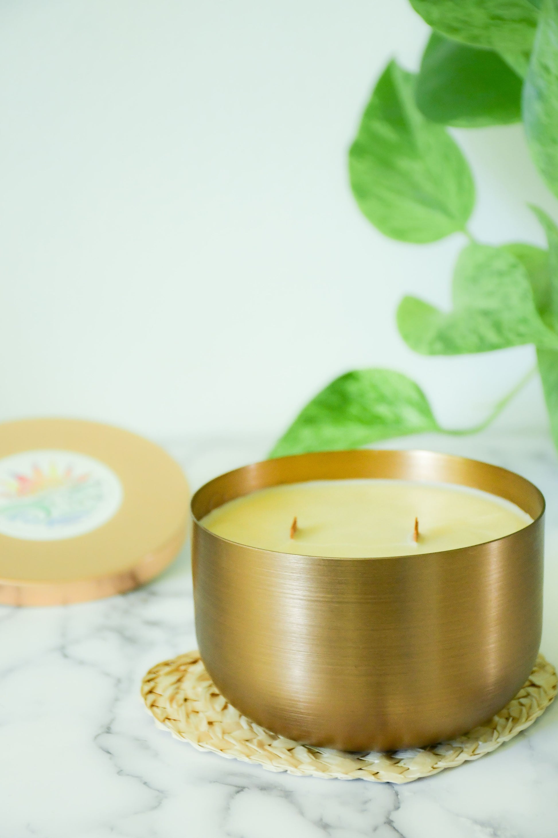The Great Outdoors 17oz Candle – non toxic candle