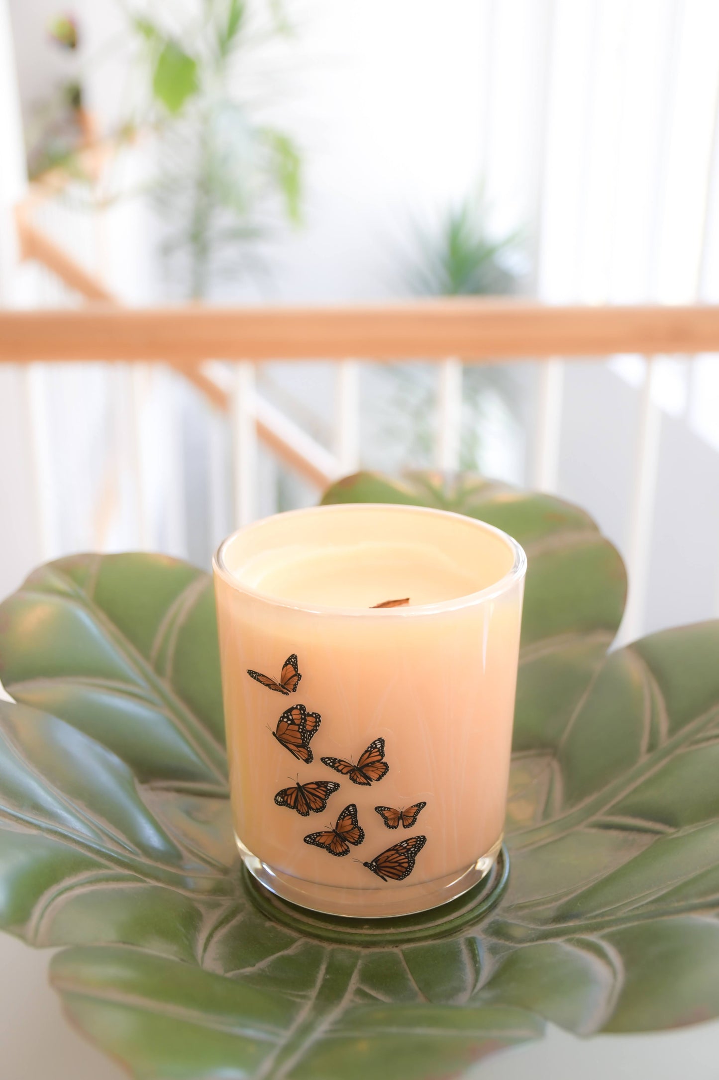 Spring Awakening Candle - 12oz Beeswax Citrus Jasmine – non toxic candle