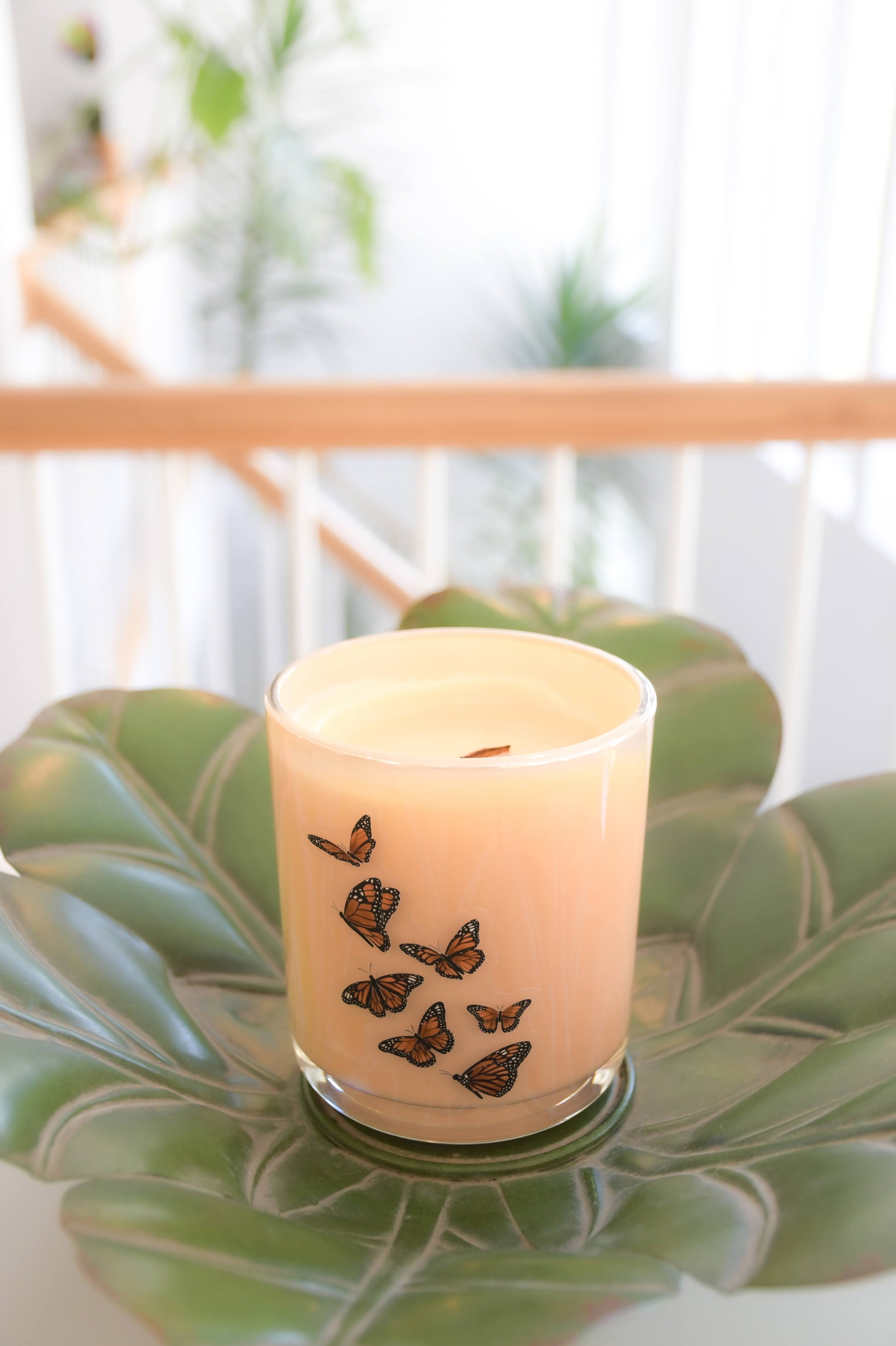 Spring Awakening Candle - 12oz Beeswax Citrus Jasmine – non toxic candle