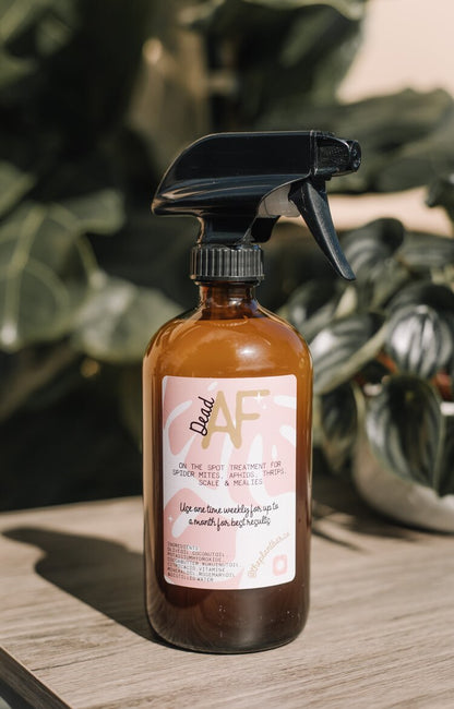 Natural Insecticide Spray for Houseplants - SAFE FOR PETS! - Kills Mealybugs, Thrips, Spider Mites, Aphids & Scale