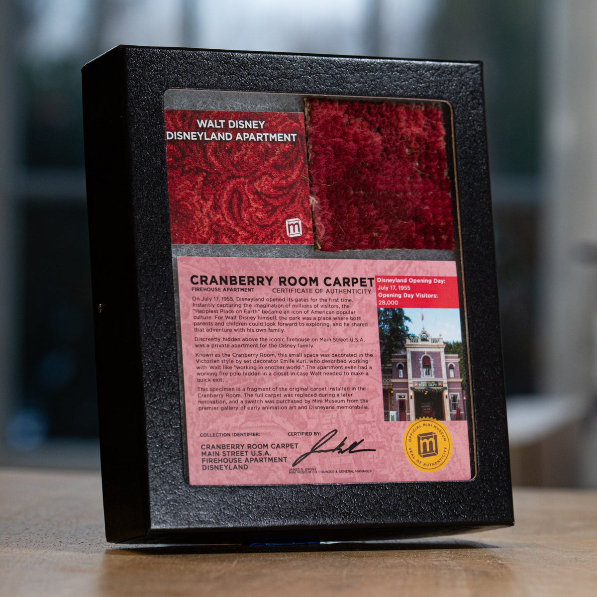 Walt Disney’s Disneyland Apartment Carpet | Cranberry Room, 2 × 2 in – Specimens > Relics & Artifacts > Pop Culture