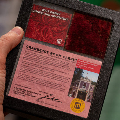 Walt Disney’s Disneyland Apartment Carpet | Cranberry Room, 2 × 2 in – Specimens > Relics & Artifacts > Pop Culture