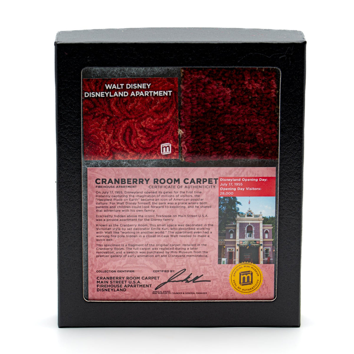 Walt Disney’s Disneyland Apartment Carpet | Cranberry Room, 2 × 2 in – Specimens > Relics & Artifacts > Pop Culture